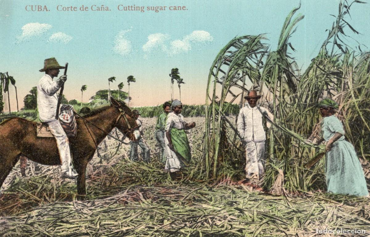 Sellos: CUBA. CORTE DE CA&Ntilde;A - Foto 1