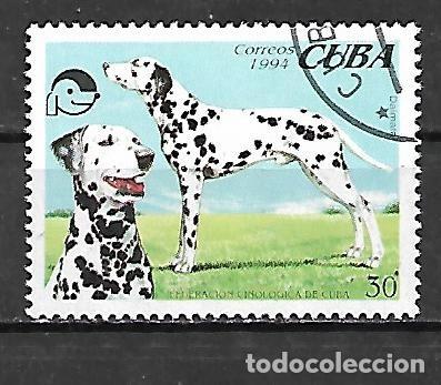 Sellos: 1994: Perros - Dalmata (CTO) - Foto 1