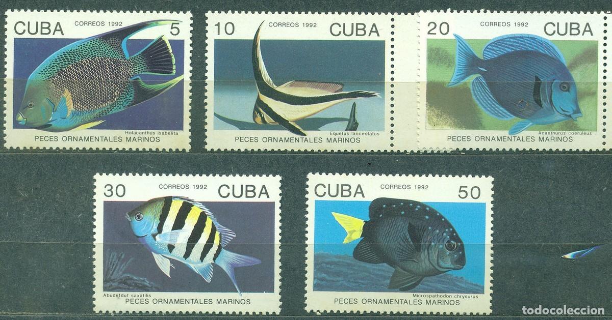 Sellos: 1315 1992 Pez Pez MNH - Foto 1
