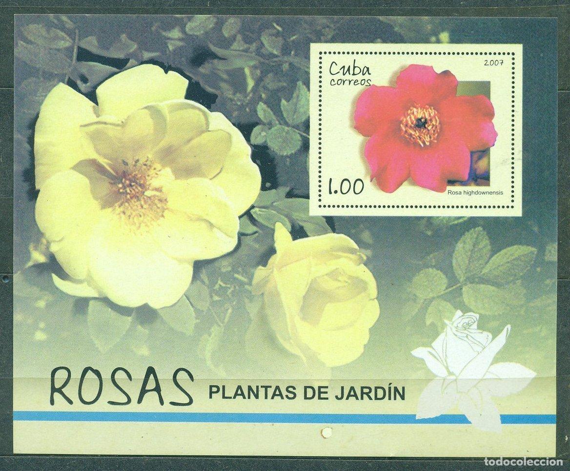 Sellos: 1315 2007 rosas flores MNH - Foto 1