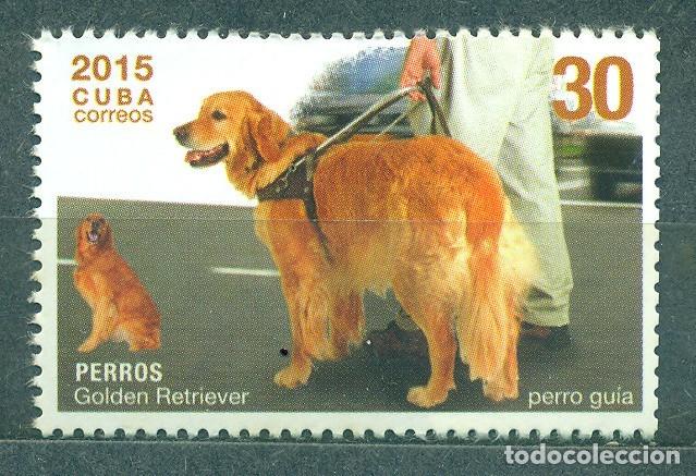 Sellos: 1315 2015 perro perdiguero de oro Perros MNH - Foto 1