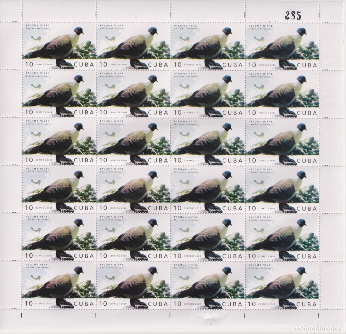 Sellos: 1315 2020 palomas Aves MNH - Foto 7
