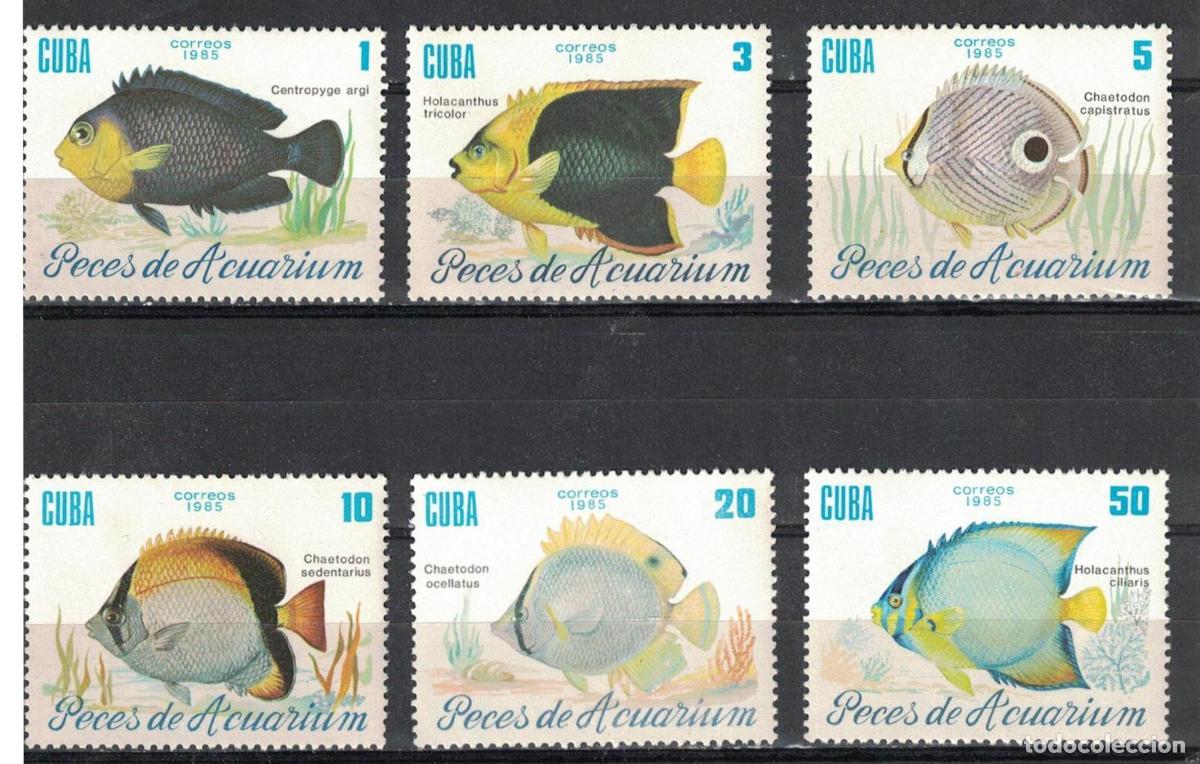 Sellos: 1315 1985 Pez Pez MNH - Foto 1