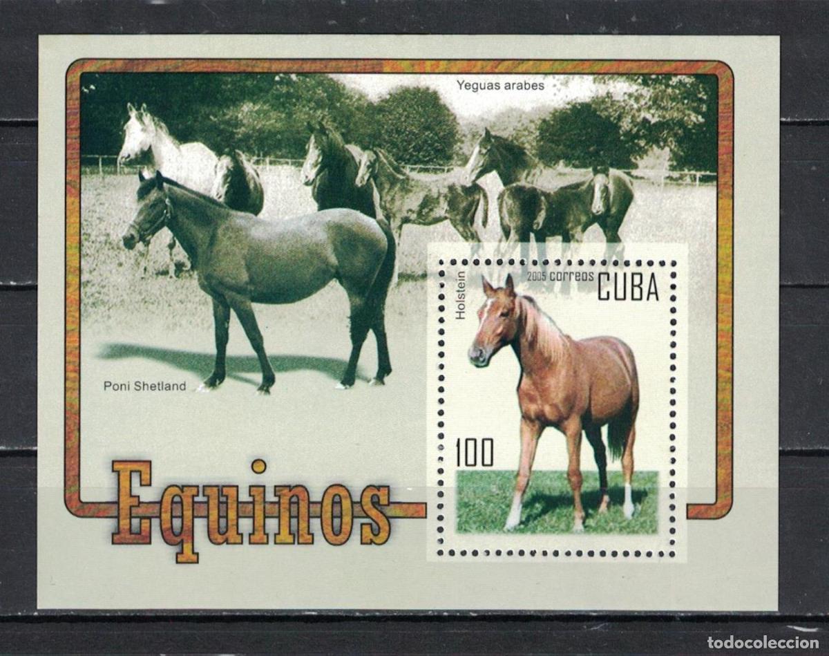 Sellos: 1315 2005 Caballos Caballos MNH - Foto 1