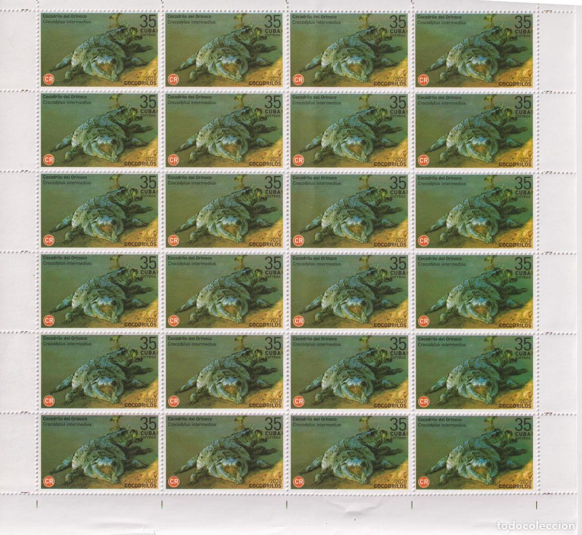 Sellos: 1315 2020 reptiles MNH - Foto 3