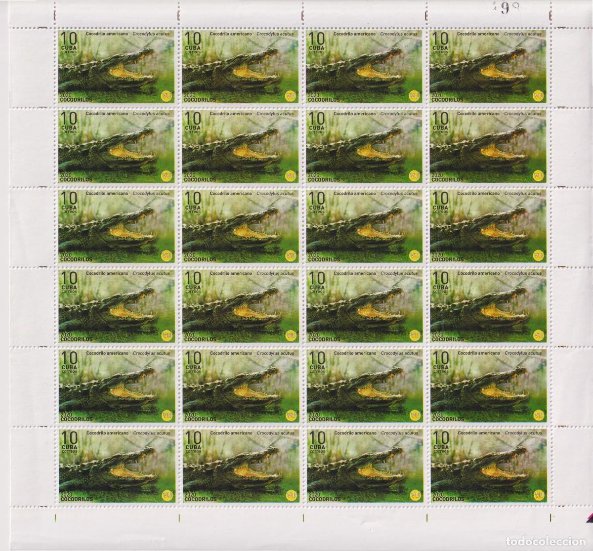 Sellos: 1315 2020 reptiles MNH - Foto 4