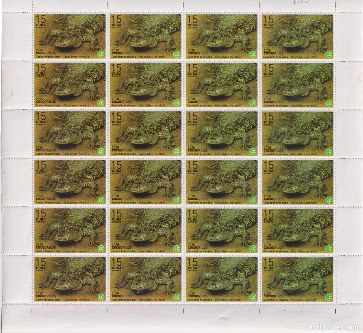 Sellos: 1315 2020 reptiles MNH - Foto 5