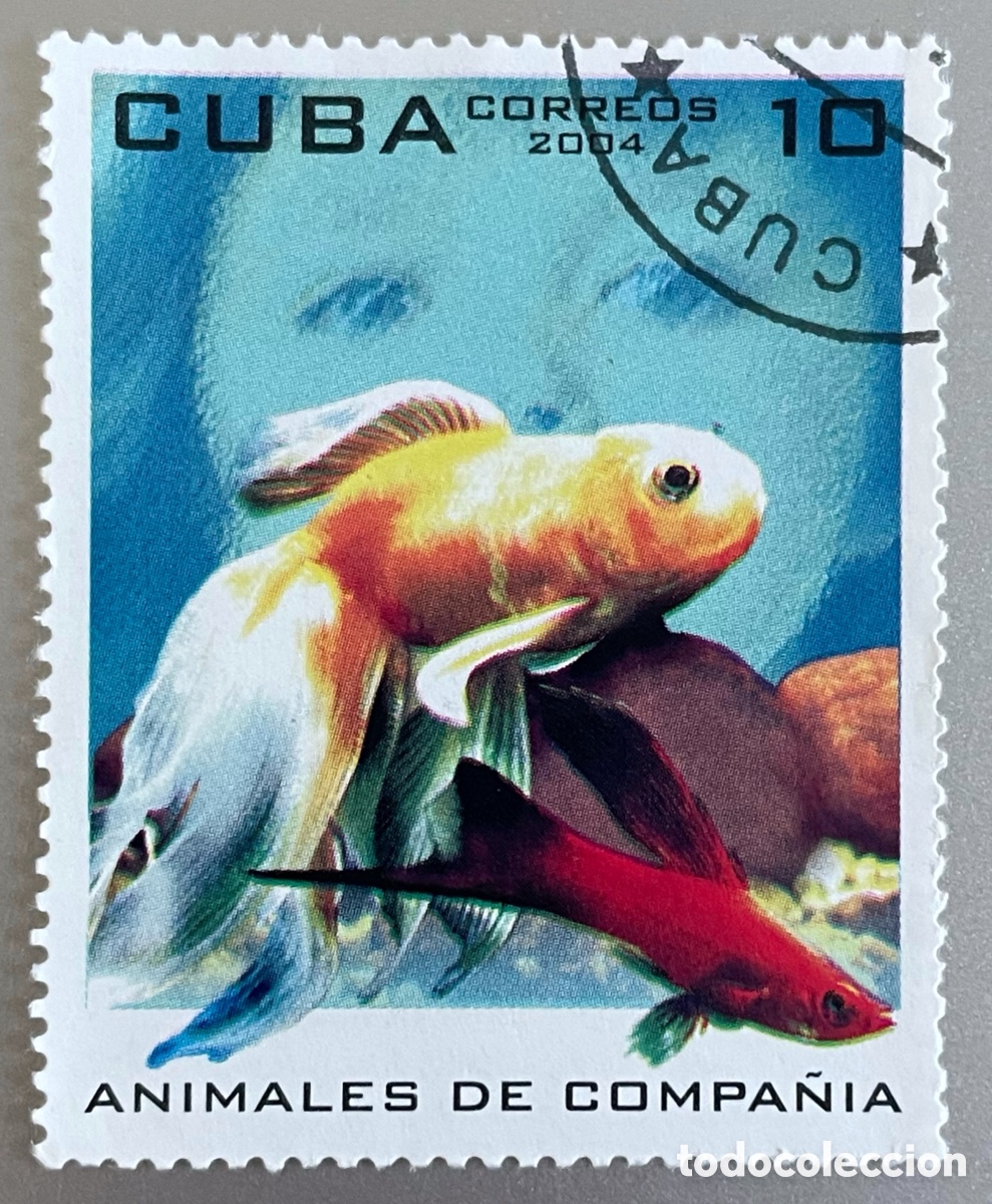 Sellos: Cuba. Animales de compa&ntilde;&iacute;a. 2004 - Foto 1