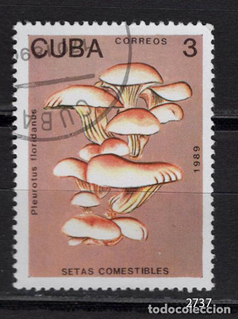 Sellos: Cuba 1989 usado SETAS Yvert 2908 - Foto 1