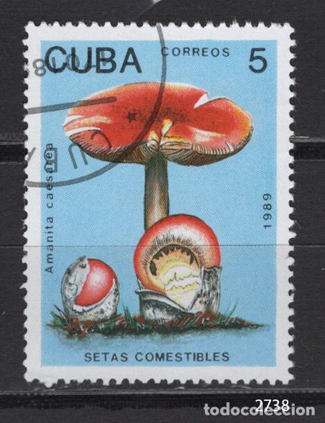 Sellos: Cuba 1989 usado SETAS Yvert 2909 - Foto 1