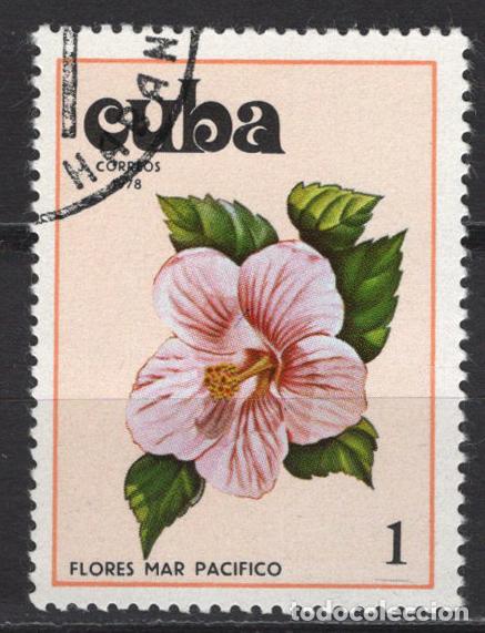 Sellos: CUBA 1978 usado FLORA Yvert 2086 - Foto 1