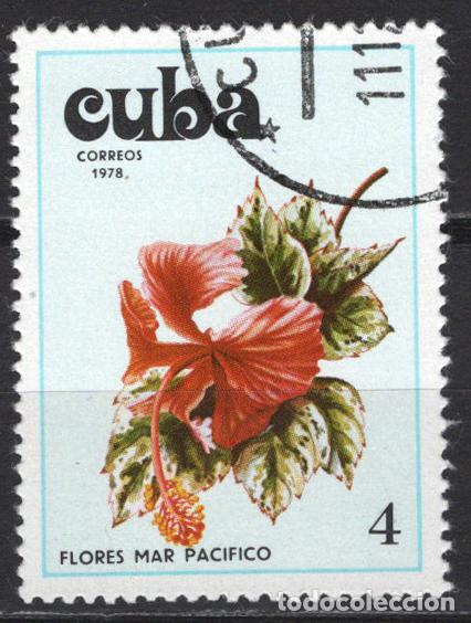 Sellos: CUBA 1978 usado FLORA Yvert 2087 - Foto 1