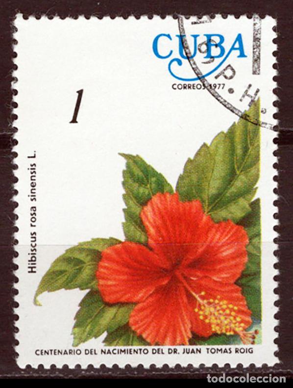 Sellos: CUBA 1977 usado FLORA Yvert 2006 - Foto 1