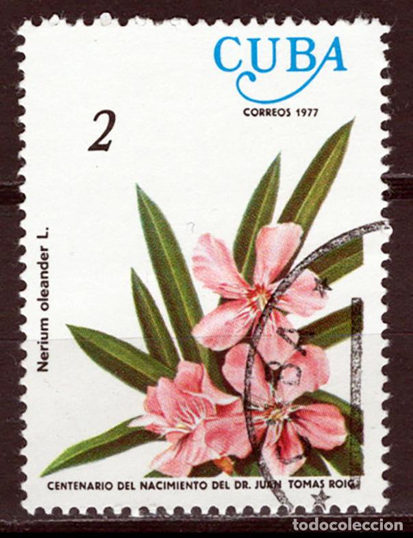 Sellos: CUBA 1977 usado FLORA Yvert 2007 - Foto 1