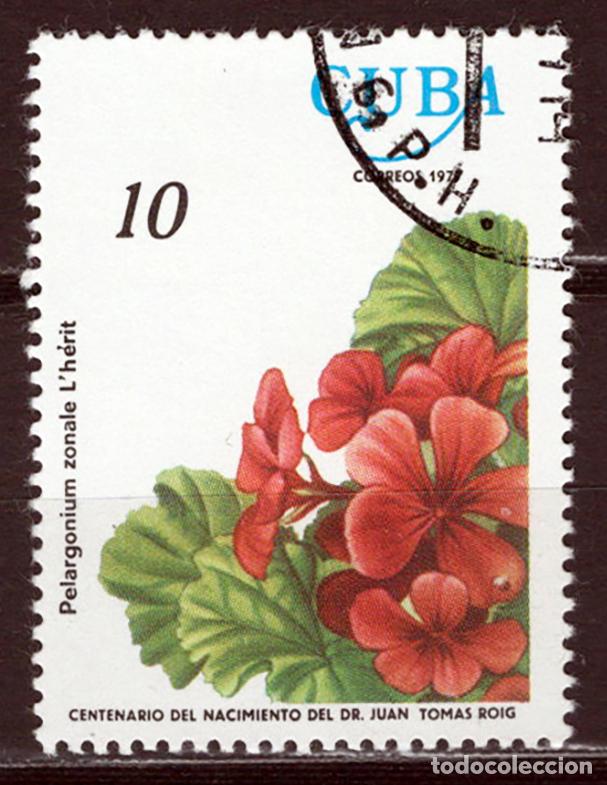 Sellos: CUBA 1977 usado FLORA Yvert 2009 - Foto 1