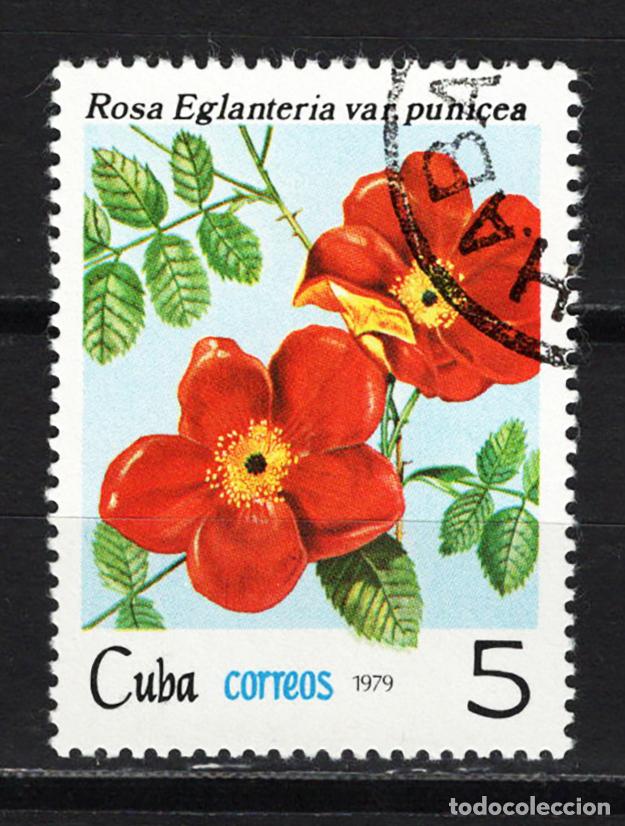 Sellos: CUBA 1979 usado FLORA Yvert 2143 - Foto 1