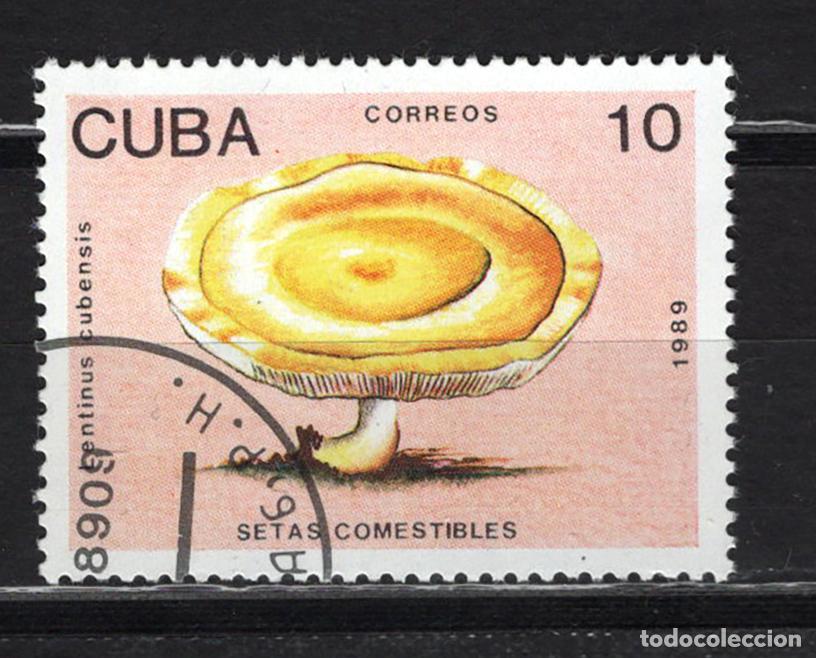 Sellos: CUBA 1989 usado FLORA Yvert 2910 - Foto 1