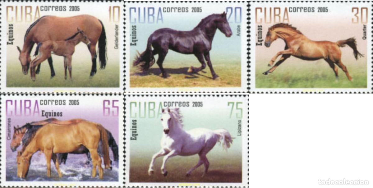 Sellos: 186582 MNH CUBA 2005 CABALLOS - Foto 1