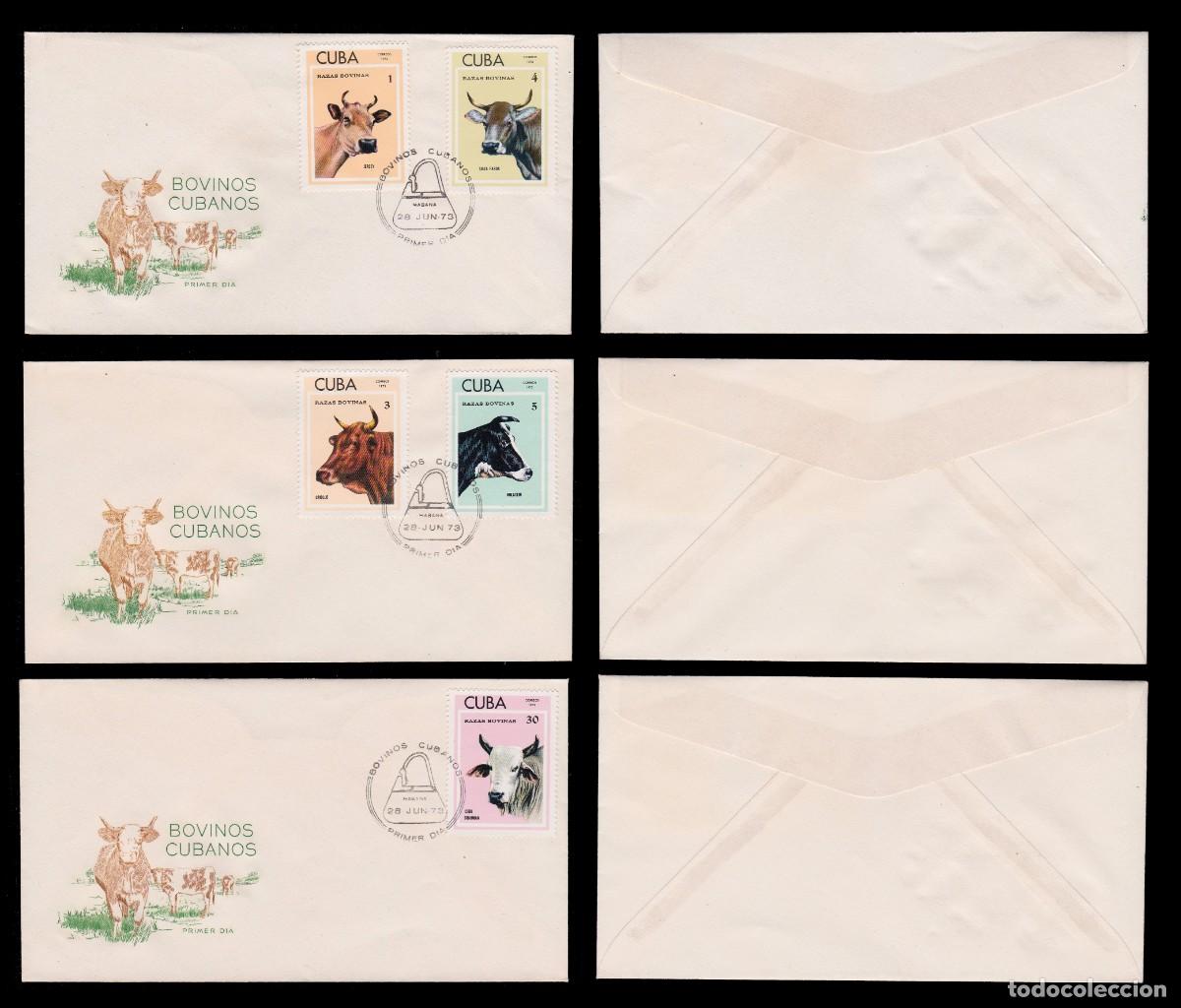 Sellos: CUBA .1973. FIRST DAY ISSUE. Cattle. + GIFT - Foto 2