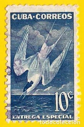 Sellos: Cuba. 1953. Scott # E18. Aves. Charran - Foto 1
