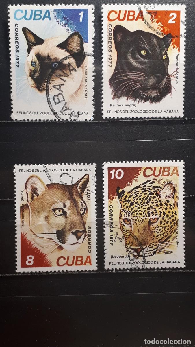 Sellos: CUBA. A&Ntilde;O 1977. &deg;. YVERT 2033/6