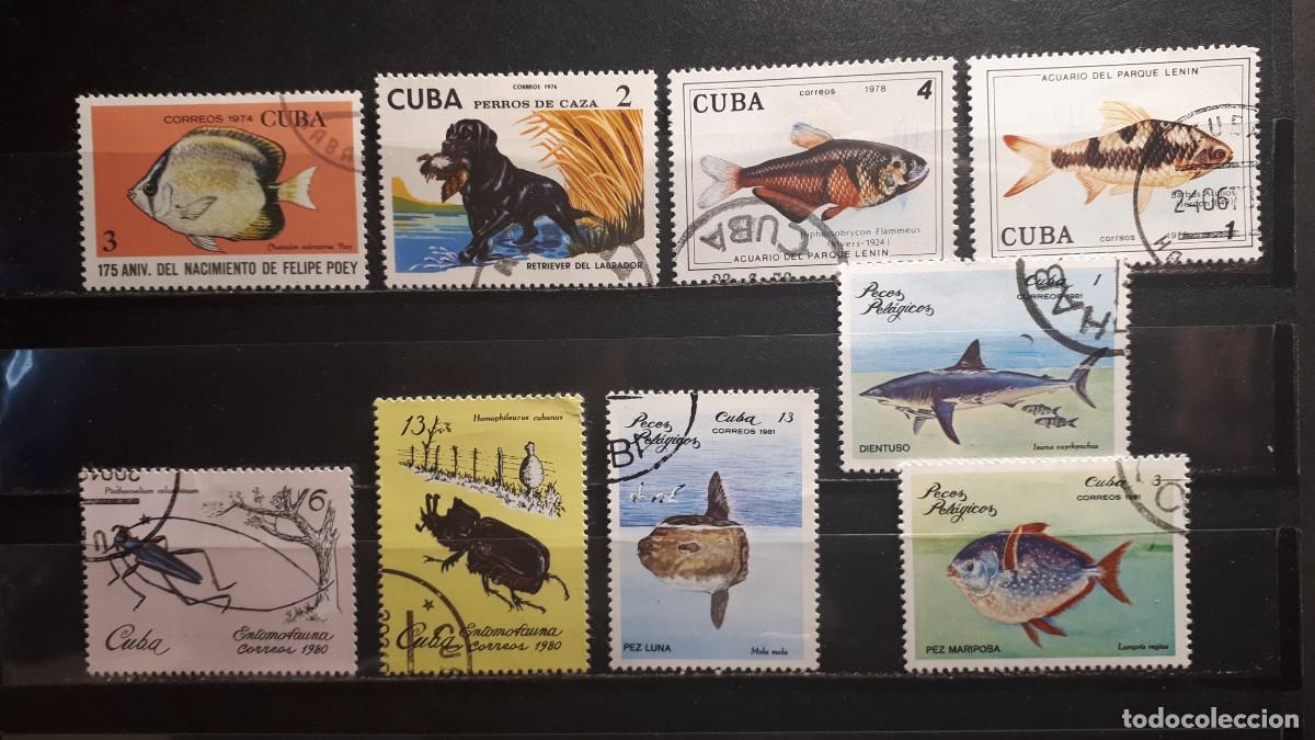 Sellos: CUBA. &deg;. Lote a catalogar