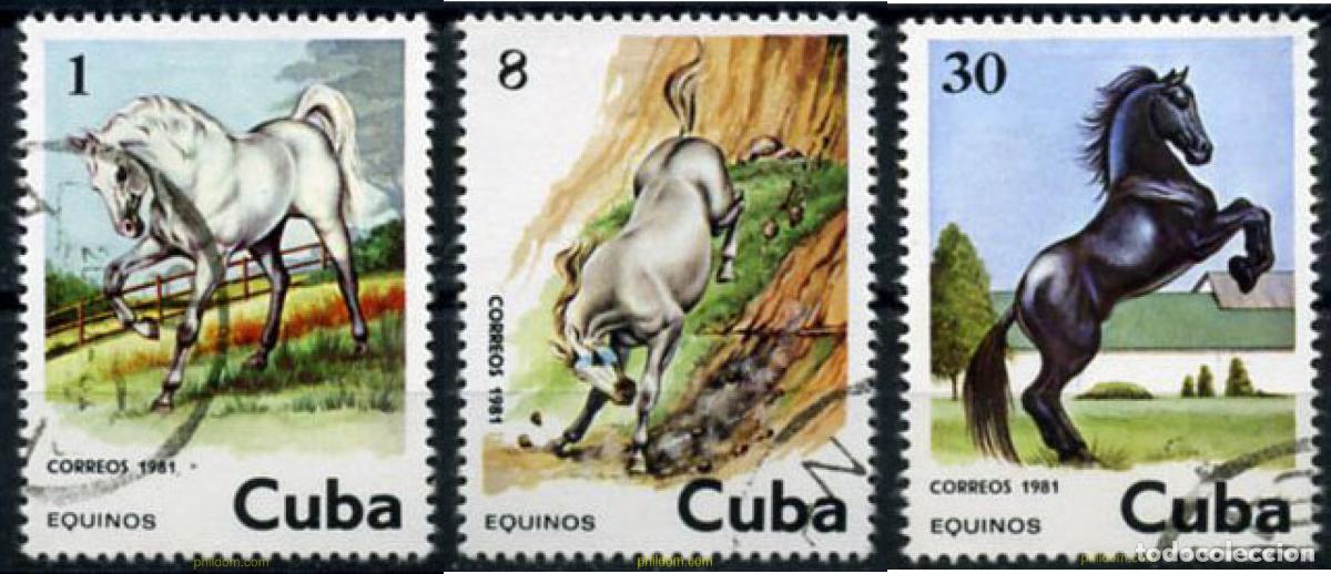 Sellos: 207588 USED CUBA 1981 DOMA DE CABALLOS.