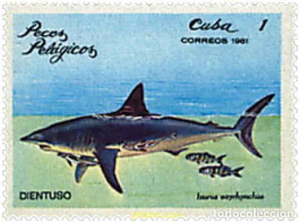 Sellos: 354809 MNH CUBA 1981 PECES PELAGICOS