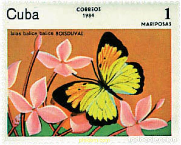 Sellos: 354828 MNH CUBA 1984 MARIPOSAS