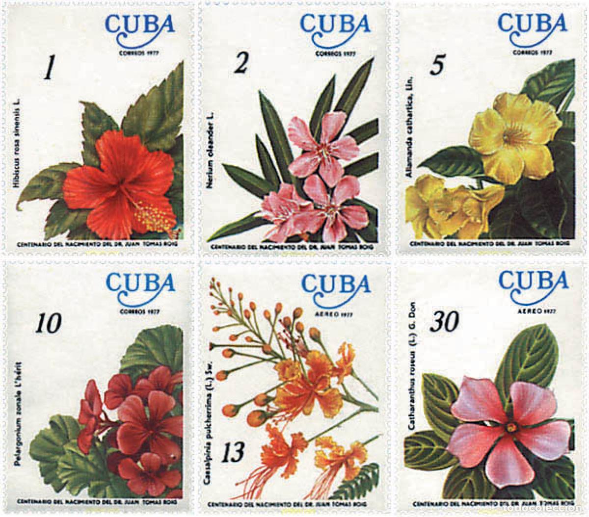 Sellos: 83511 MNH CUBA 1977 CENTENARIO DEL NACIMIENTO DE JUAN TOMAS ROIG
