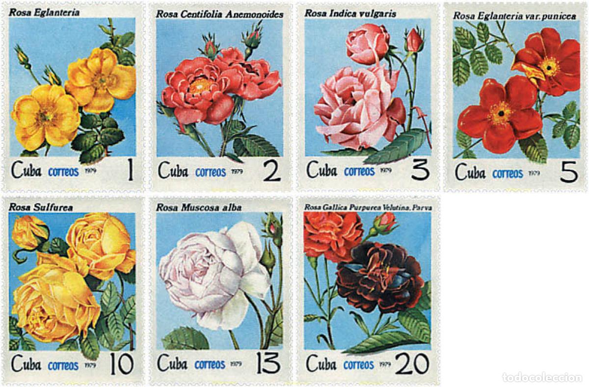 Sellos: 83515 MNH CUBA 1979 ROSAS DE CUBA