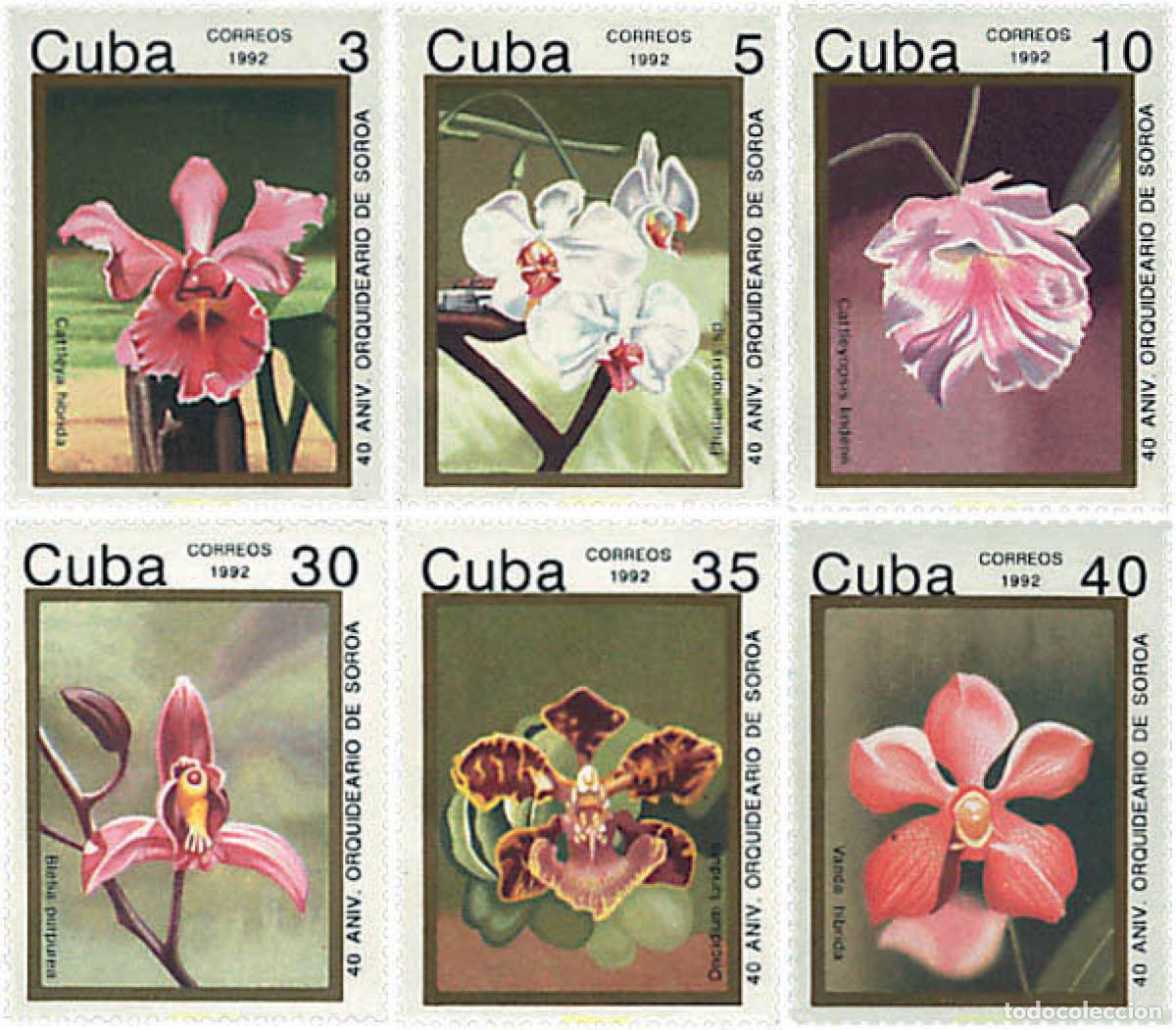 Sellos: 83530 MNH CUBA 1992 40 ANIVERSARIO DEL ORQUIDEARIO DE SOROA