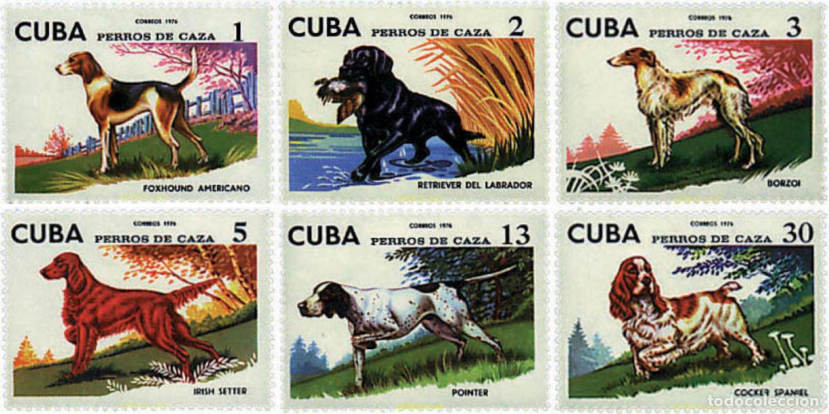 Sellos: 49290 MNH CUBA 1976 PERROS DE CAZA