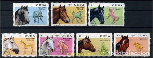 Sellos: 207587 USED CUBA 1972 CABALLOS