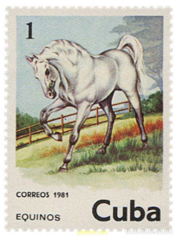 Sellos: 354817 MNH CUBA 1981 DOMA DE CABALLOS.