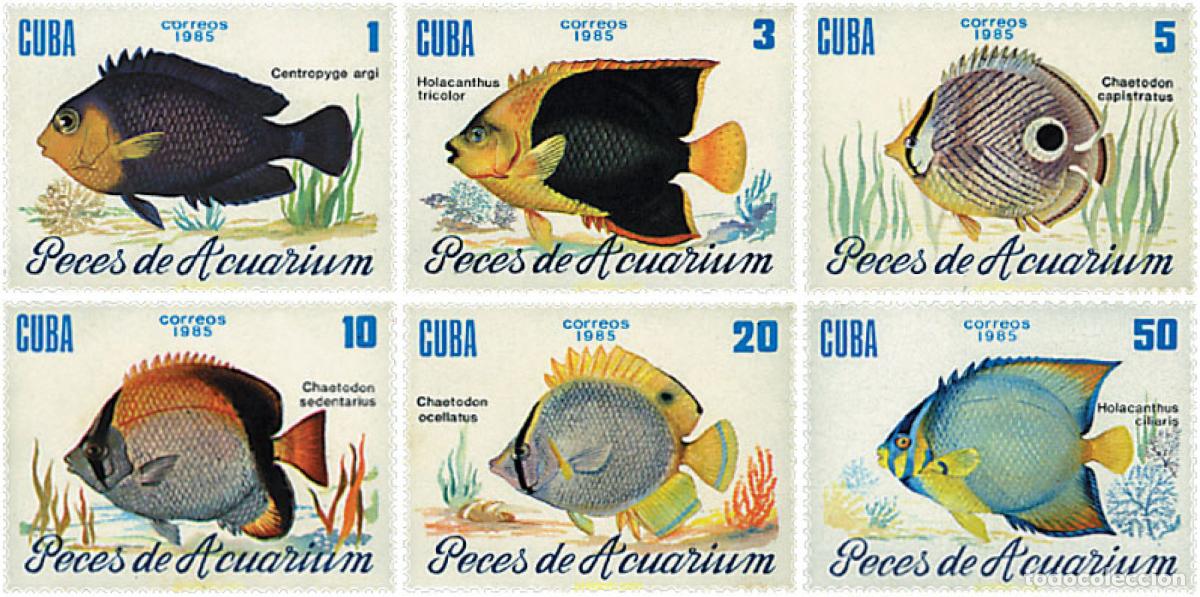 Sellos: 28510 MNH CUBA 1985 PECES DE ACUARIO