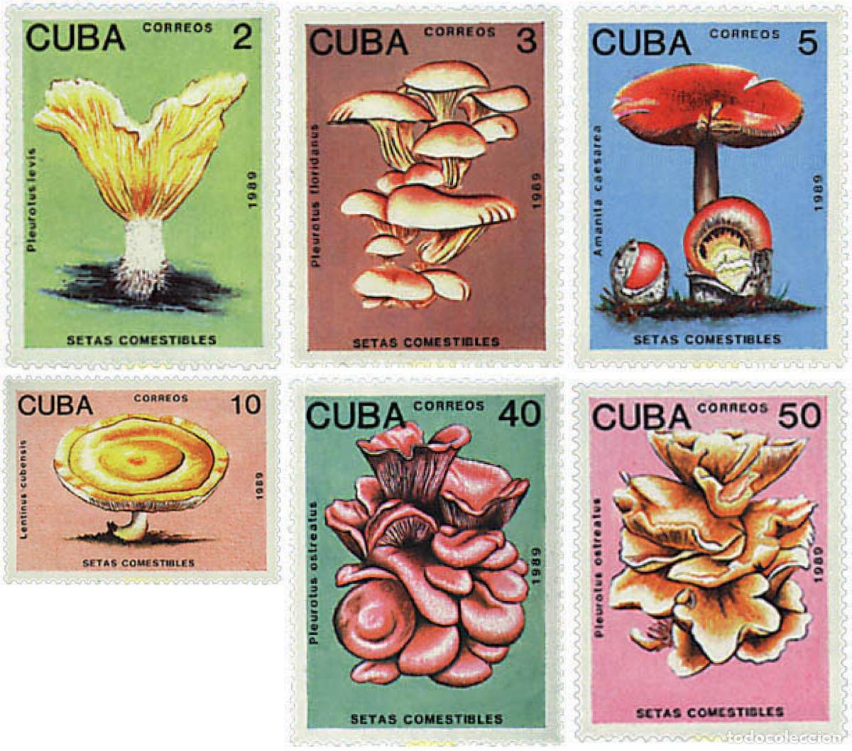 Sellos: 34614 MNH CUBA 1989 SETAS