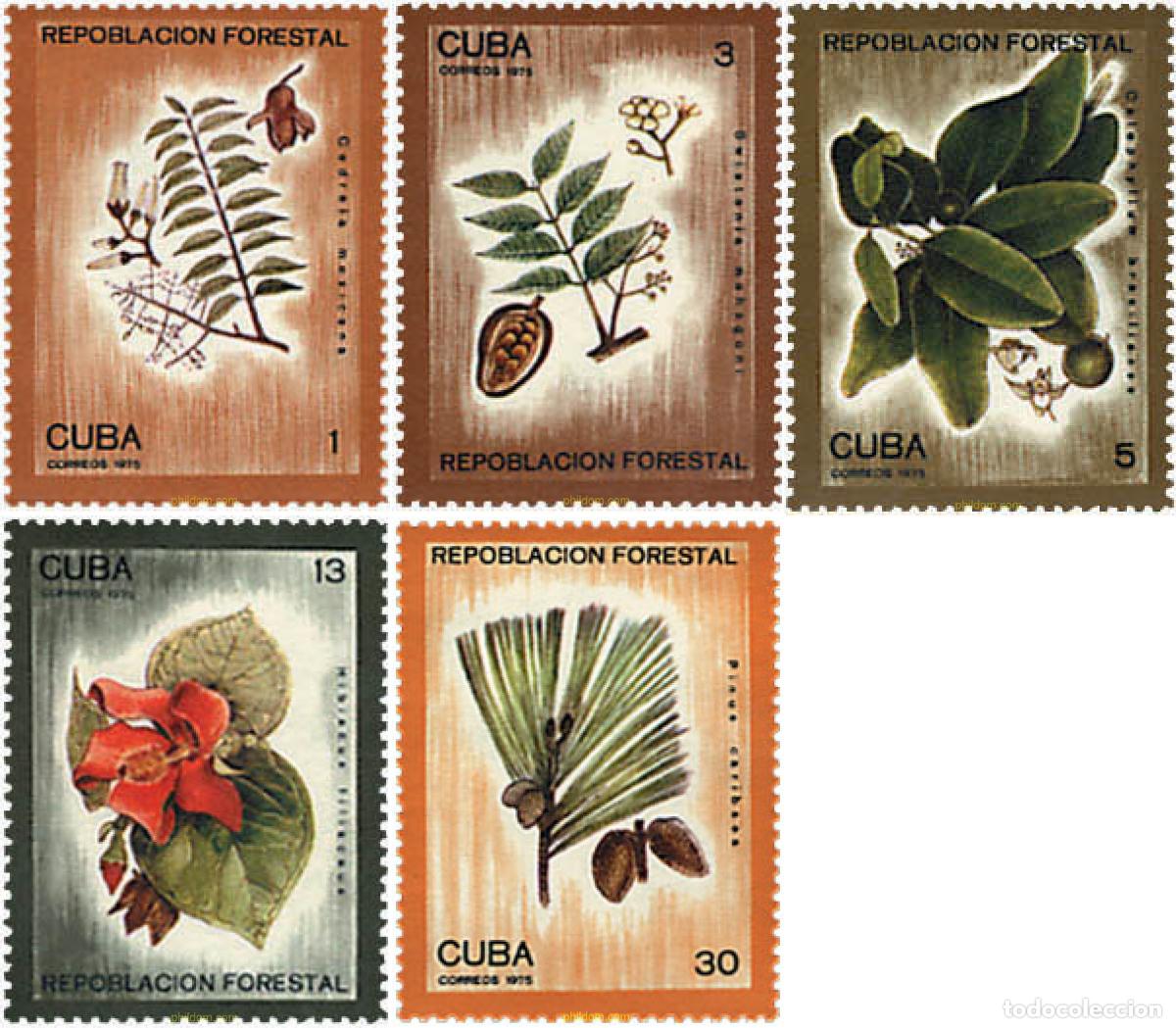Sellos: 83508 MNH CUBA 1975 REPOBLACION FORESTAL