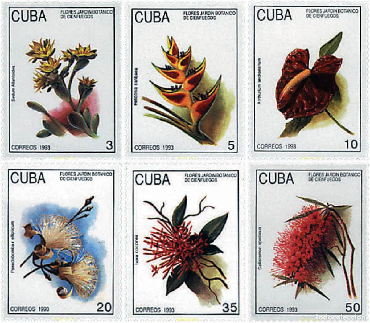 Sellos: 96173 MNH CUBA 1993 FLORES DEL JARDIN BOTANICO DE CIENFUEGOS