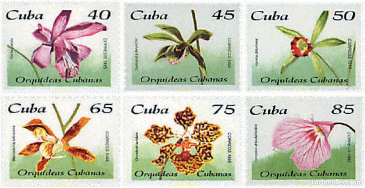 Sellos: 83534 MNH CUBA 1995 ORQUIDEAS CUBANAS