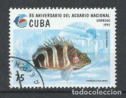 Sellos: SELLO DE CUBA - A&Ntilde;O 1995 - N&ordm; 11 - LINDO - BUEN PRECIO - FOTOS