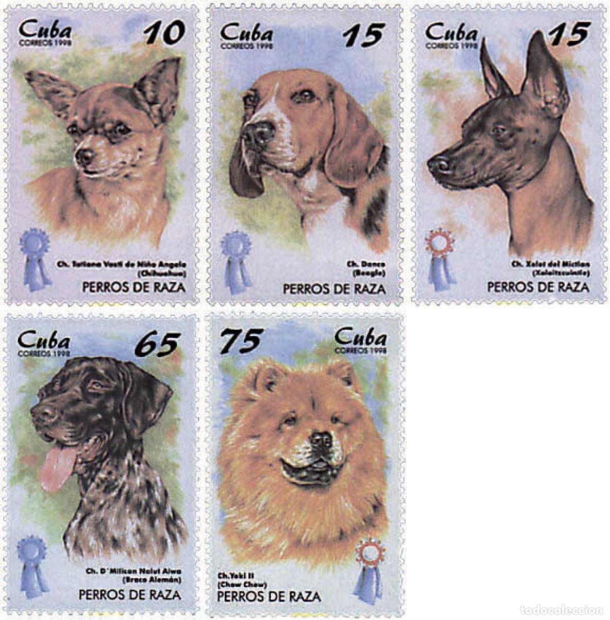 Sellos: 49050 MNH CUBA 1998 PERROS DE RAZA