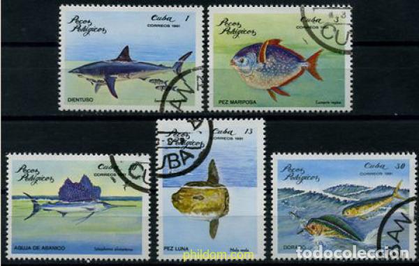Sellos: 207613 USED CUBA 1981 PECES PELAGICOS