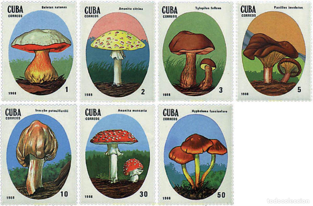 Sellos: 34994 MNH CUBA 1988 SETAS
