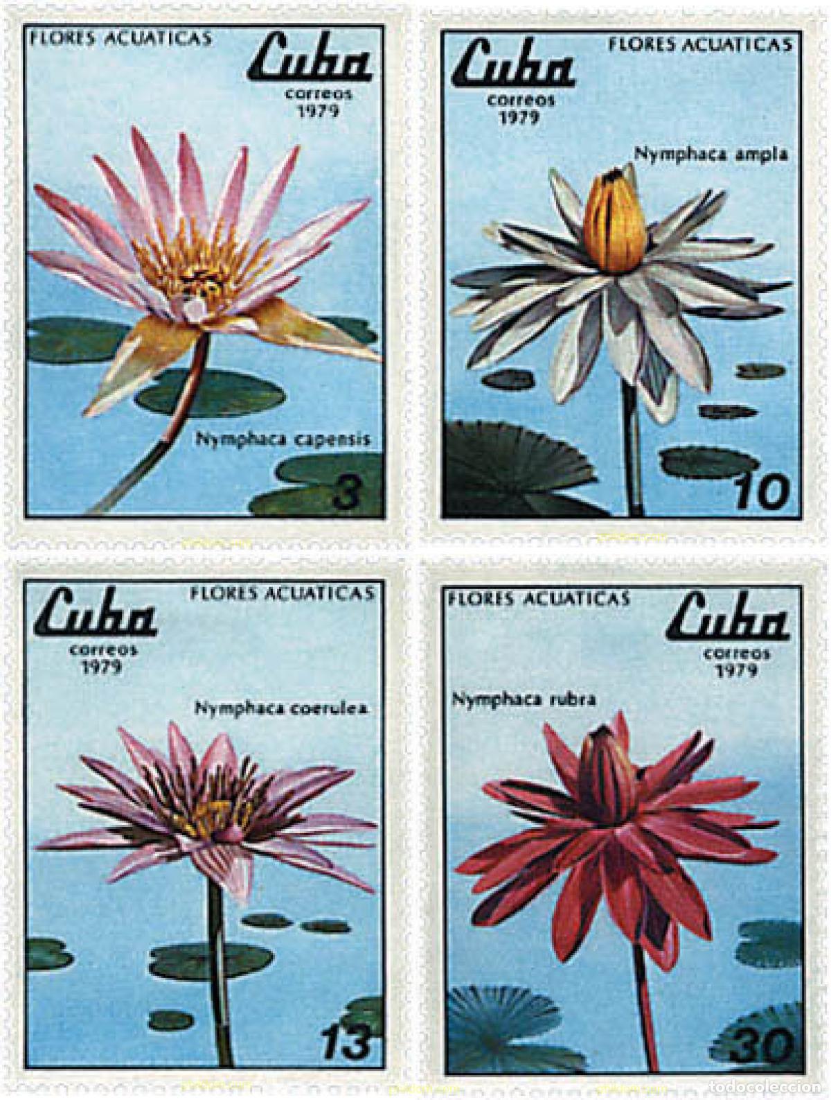 Sellos: 83514 MNH CUBA 1979 FLORES ACUATICAS