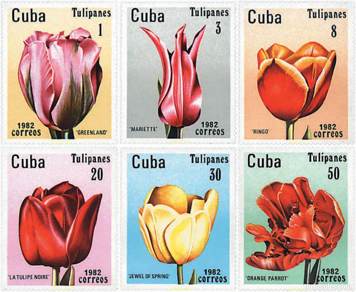 Sellos: 83520 MNH CUBA 1982 TULIPANES