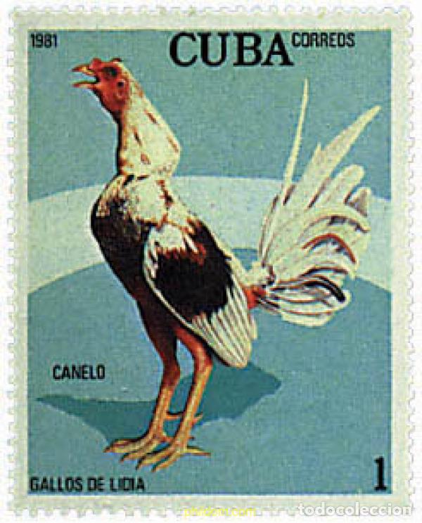 Sellos: 354825 MNH CUBA 1981 GALLOS DE PELEA
