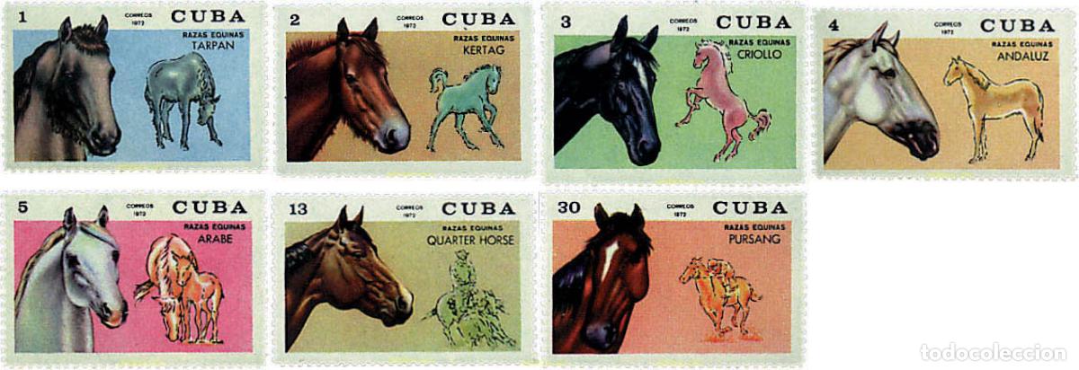 Sellos: 48189 HINGED CUBA 1972 CABALLOS