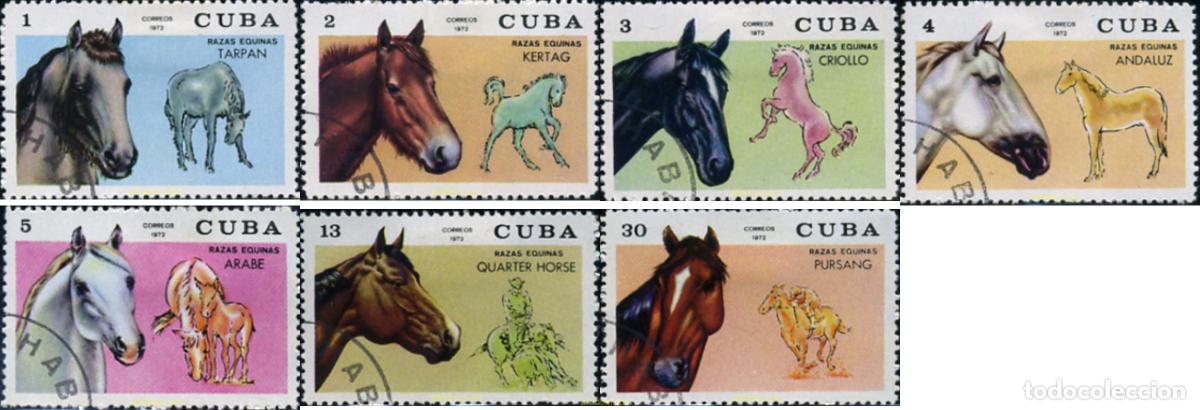 Sellos: 339458 USED CUBA 1972 CABALLOS