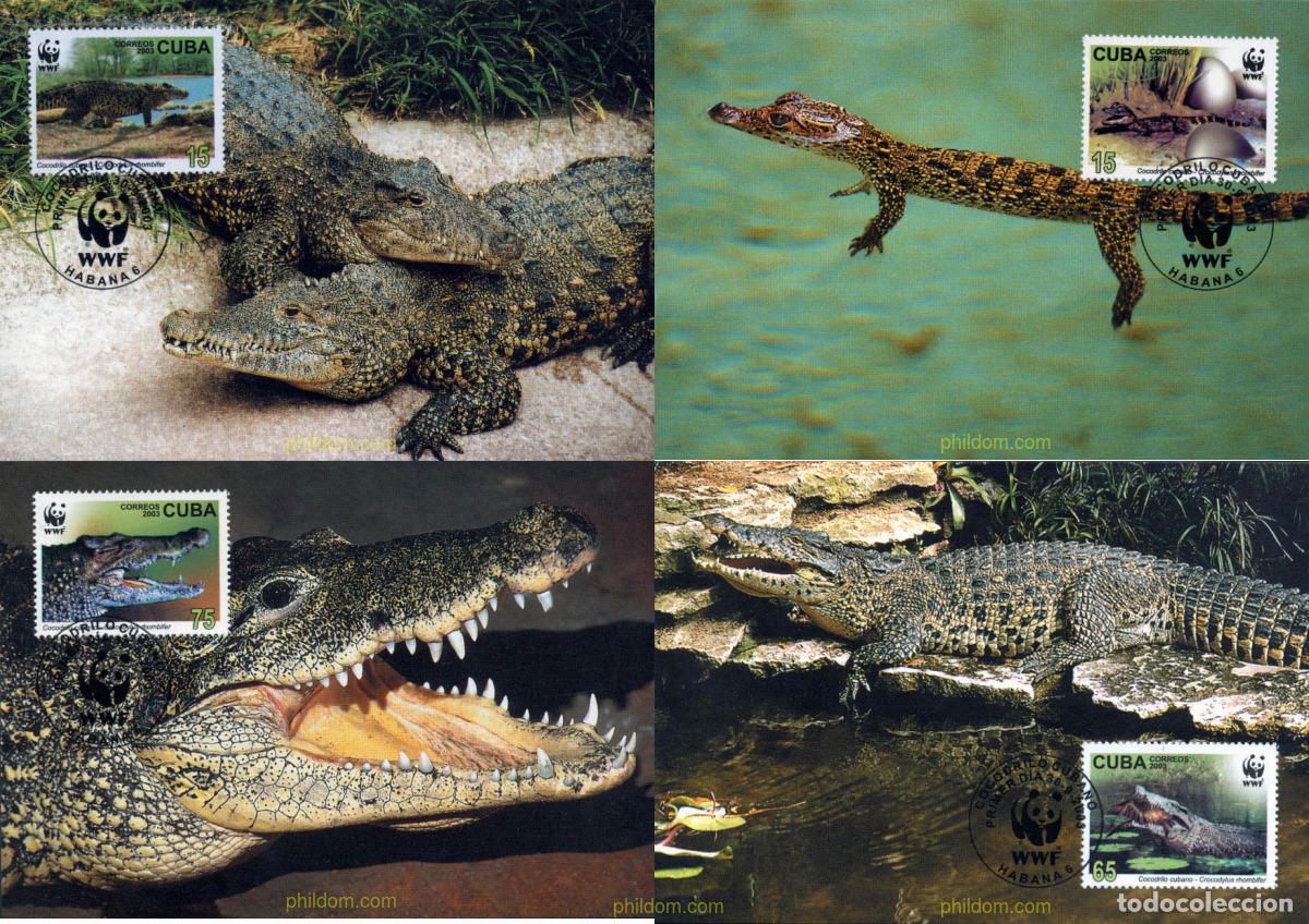 Sellos: 123252 MNH CUBA 2003 WWF